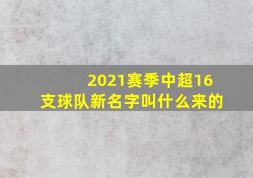 2021赛季中超16支球队新名字叫什么来的