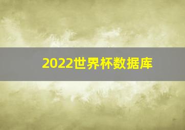 2022世界杯数据库