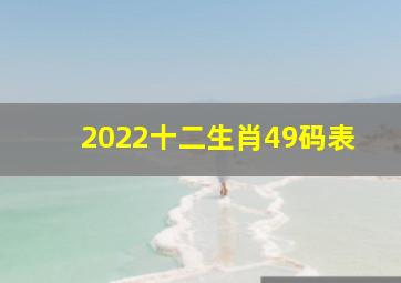 2022十二生肖49码表