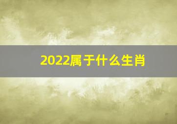 2022属于什么生肖