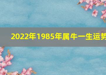 2022年1985年属牛一生运势