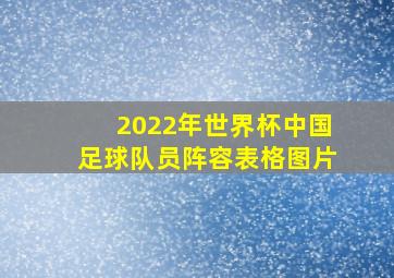 2022年世界杯中国足球队员阵容表格图片