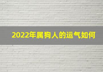 2022年属狗人的运气如何