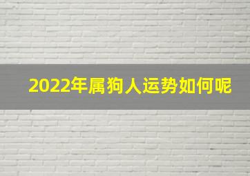 2022年属狗人运势如何呢