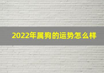 2022年属狗的运势怎么样