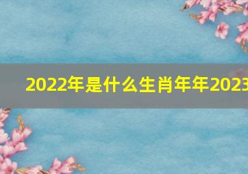 2022年是什么生肖年年2023