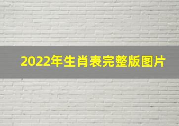 2022年生肖表完整版图片