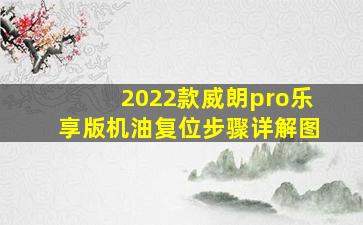 2022款威朗pro乐享版机油复位步骤详解图