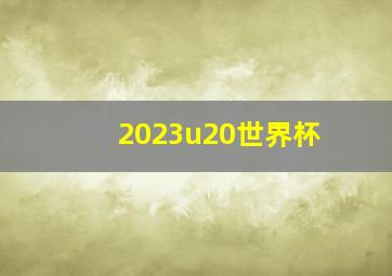 2023u20世界杯