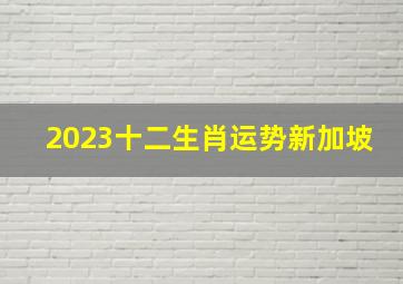 2023十二生肖运势新加坡