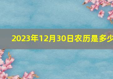 2023年12月30日农历是多少