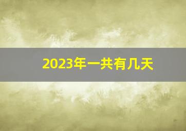 2023年一共有几天