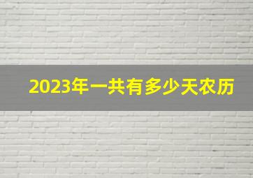 2023年一共有多少天农历