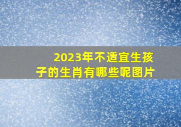 2023年不适宜生孩子的生肖有哪些呢图片