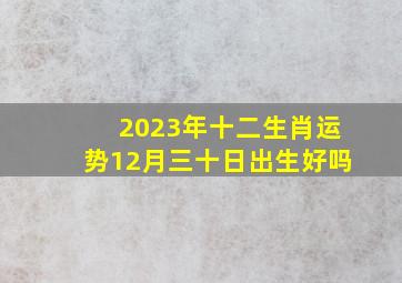 2023年十二生肖运势12月三十日出生好吗