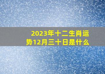 2023年十二生肖运势12月三十日是什么