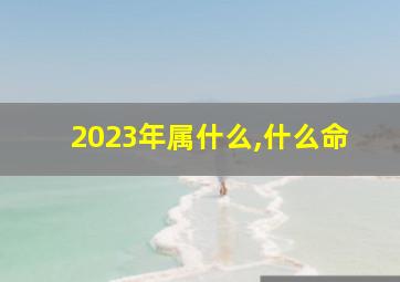 2023年属什么,什么命