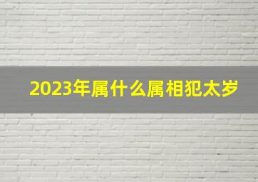 2023年属什么属相犯太岁