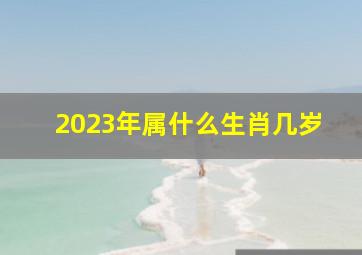 2023年属什么生肖几岁