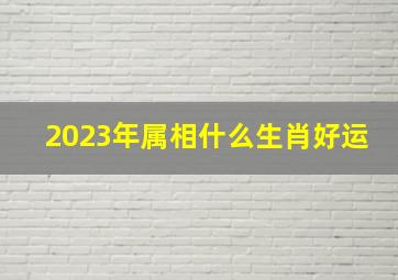 2023年属相什么生肖好运