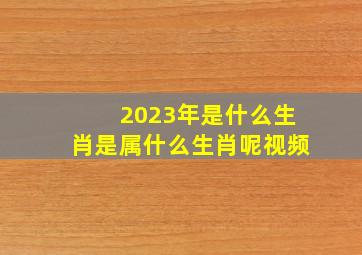 2023年是什么生肖是属什么生肖呢视频