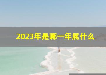 2023年是哪一年属什么