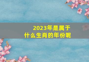 2023年是属于什么生肖的年份呢