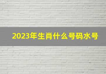 2023年生肖什么号码水号