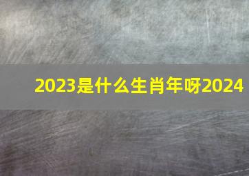 2023是什么生肖年呀2024