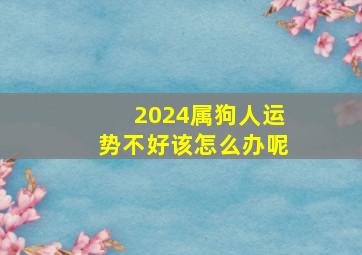 2024属狗人运势不好该怎么办呢