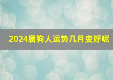 2024属狗人运势几月变好呢