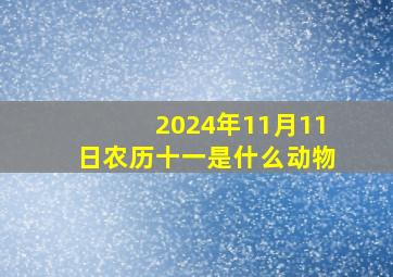 2024年11月11日农历十一是什么动物