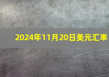 2024年11月20日美元汇率