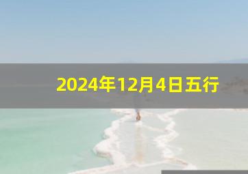 2024年12月4日五行