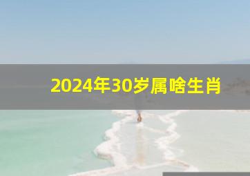 2024年30岁属啥生肖