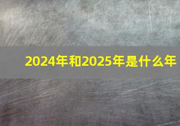 2024年和2025年是什么年