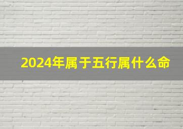 2024年属于五行属什么命