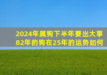 2024年属狗下半年要出大事82年的狗在25年的运势如何