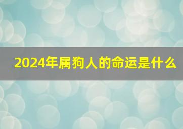 2024年属狗人的命运是什么