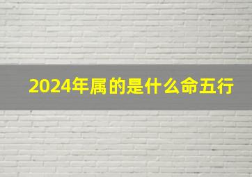 2024年属的是什么命五行