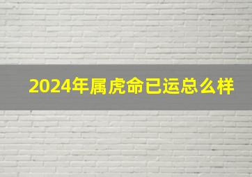 2024年属虎命已运总么样