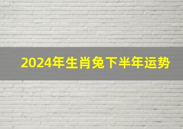 2024年生肖兔下半年运势