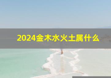 2024金木水火土属什么