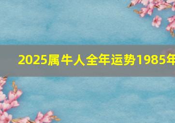 2025属牛人全年运势1985年