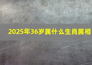 2025年36岁属什么生肖属相