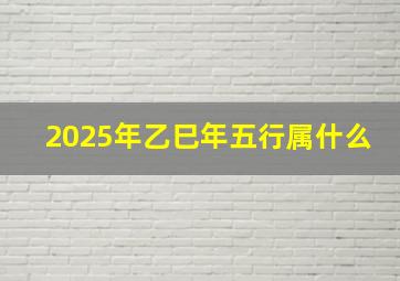 2025年乙巳年五行属什么