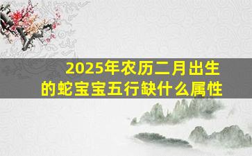 2025年农历二月出生的蛇宝宝五行缺什么属性