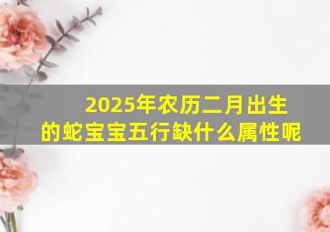 2025年农历二月出生的蛇宝宝五行缺什么属性呢