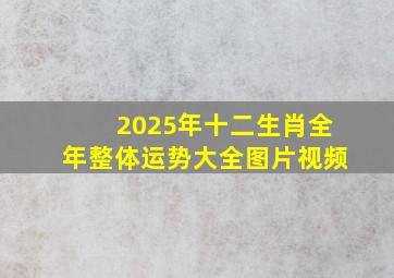 2025年十二生肖全年整体运势大全图片视频