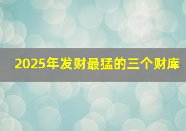 2025年发财最猛的三个财库